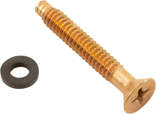 Pentair IntelliBrite | Amerlite Pilot Screw with Captive Gum Washer 2023.1