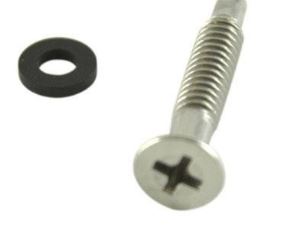 Pentair light screw 619355 2021 inv