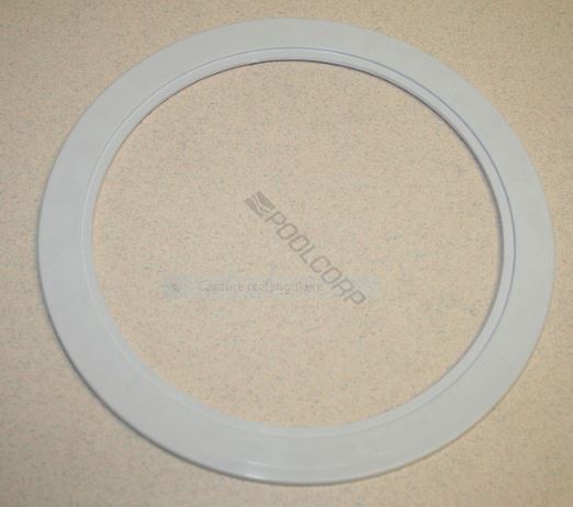 HAYWARD Skimmer Retaining Ring SPX1082D i0124