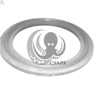 O-Ring / Gasket for 2" water heater connection 711-4030 i23