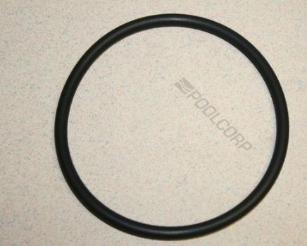 HAYWARD CLX110K Viton Chlorinator Cover Gasket (O-Ring)