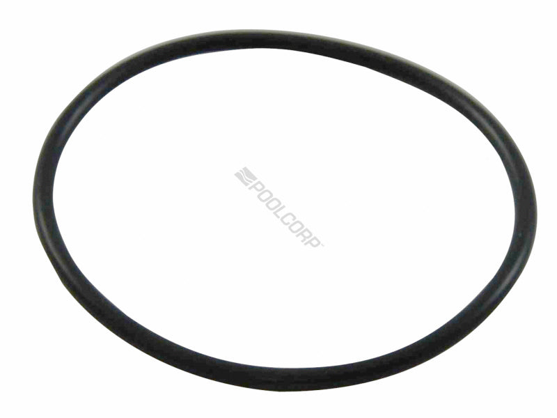 Sealing Gasket (O-Ring) Pack of 2 GLX-Union-Oring i23
