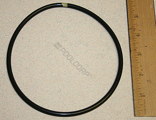 Seal for Hayward CLX200K chlorinator
