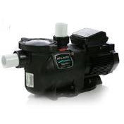 Starite SuperMax® 1HP 115/208-230V #348147-INT Inground Pool Pump i0124