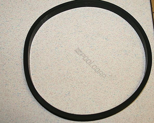 Hayward Maxflo SPX0125T Lid Seal