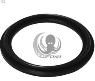 O-Ring/Sealing Joint 2" Union p2i